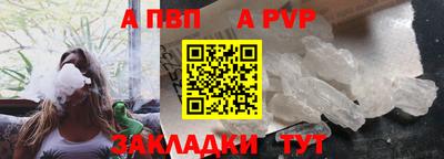 прущие грибы Кингисепп