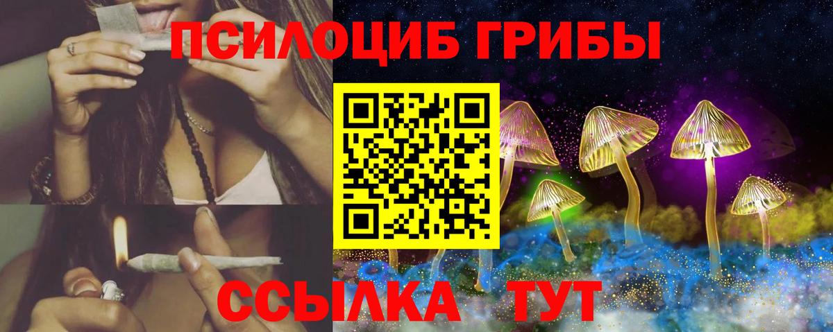 Галлюциногенные грибы Psilocybine cubensis  Галлюциногенные грибы GOLDEN TEACHER  Кудымкар  купить наркотики сайты  Вход с VPN 